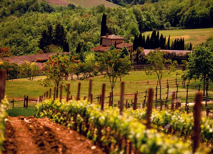 Italian Designers Take Gardening