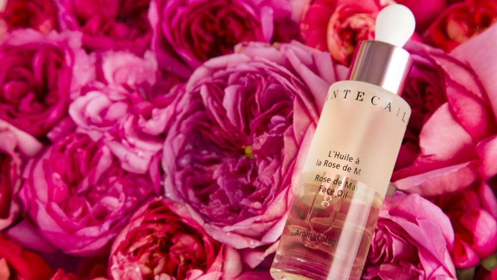 Chantecaille's L'Huile de la Rose de Mai