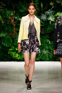 Dorothee Schumacher RTW Spring 2016
