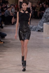 Iris Van Herpen RTW Spring 2016