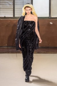 Giamba RTW Fall 2016