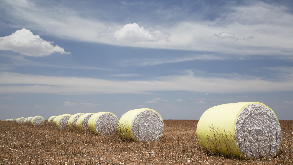 Cotton Prices