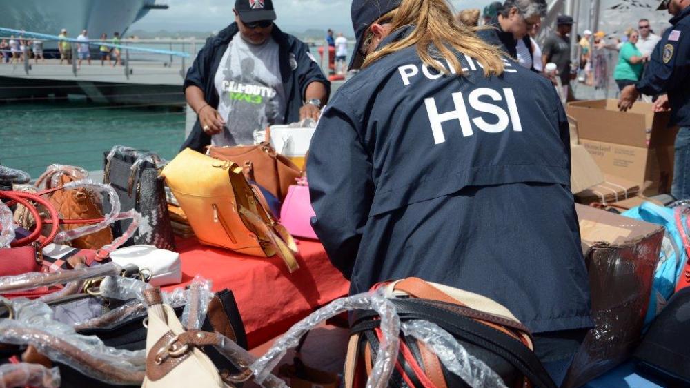 Homeland Security Investigations