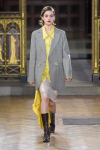 Sharon Wauchob RTW Fall 2017