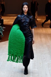 Céline RTW Fall 2017