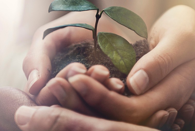 Come Earth Day, Reflecting On & Continuing Eco Improvements