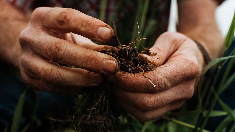 Wrangler's Sustainability Report Spotlights Greener Farming Practices