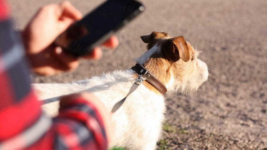 Consumers shop everywhere, even while driving or walking the dog.