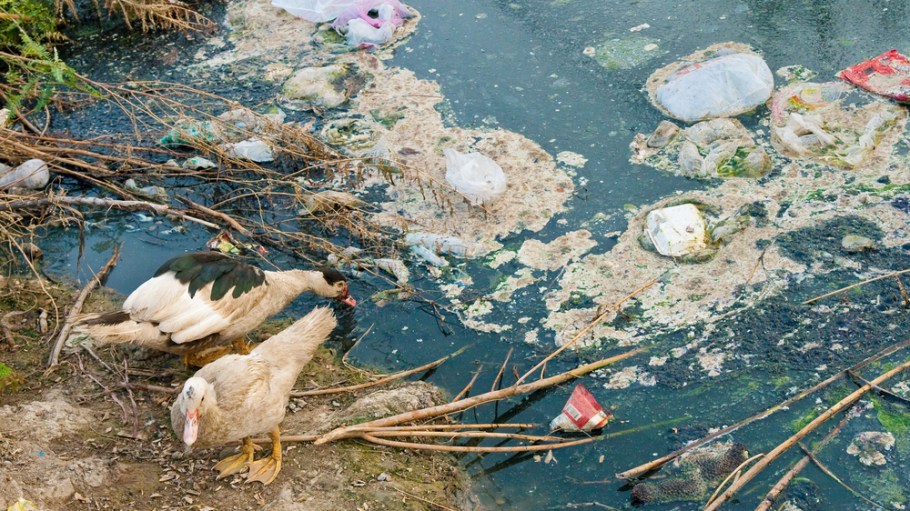 Image of pollution from wastewater