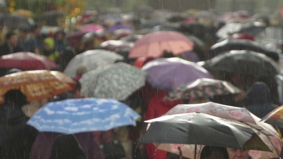 Planalytics Partners with NPD Group to Provide Weather-Driven Insights