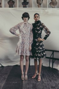 Erdem Pre-Fall 2019
