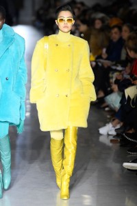 Max Mara RTW Fall 2019