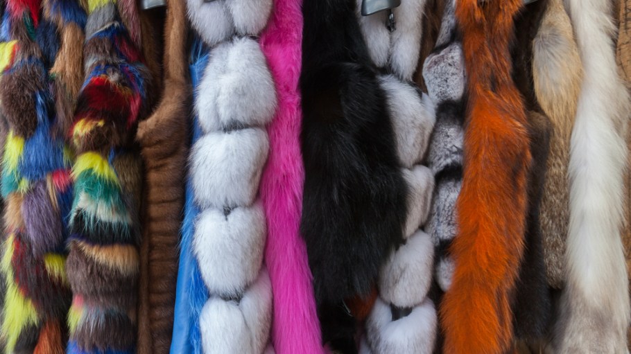 Faux-Fur Market Projected to Surpass $129.21M by 2023