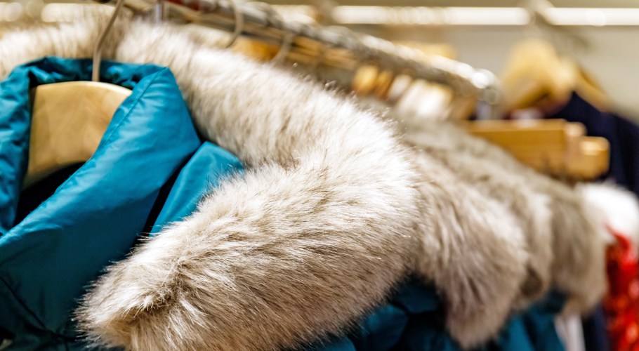New York City Considers Banning Sale of Fur Apparel
