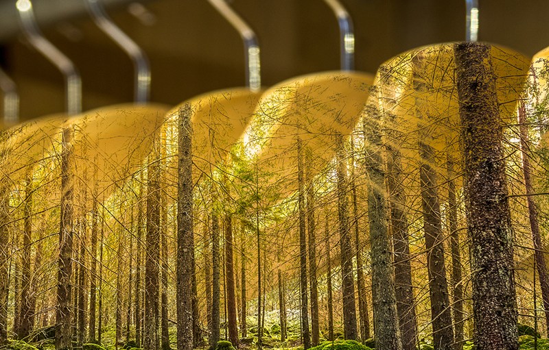 Are Brands Serious Enough About Their Sustainability Missions?