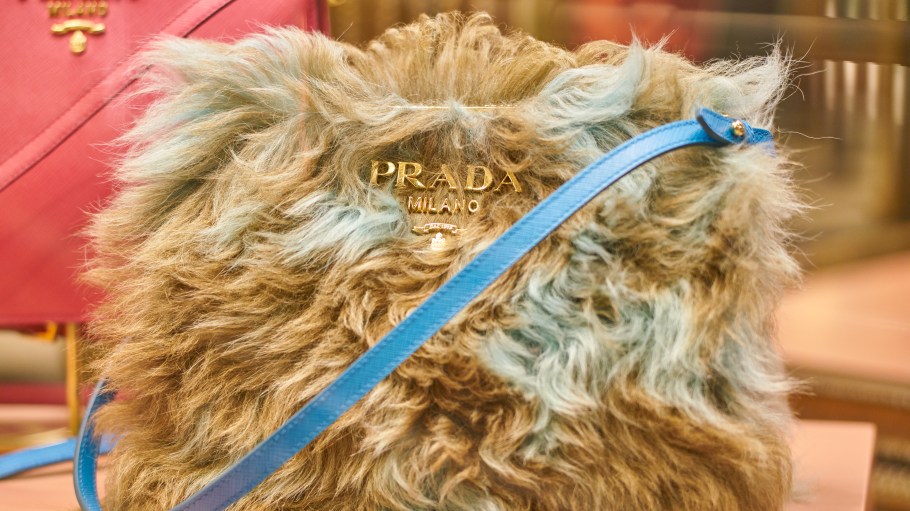 Prada is Dropping Fur Following Pressure from Animal-Rights Groups