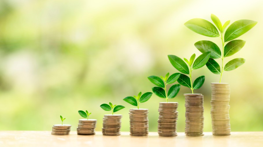 As concerns about climate change and its effects on supply chains deepen, investors are turning greater attention toward transparency.