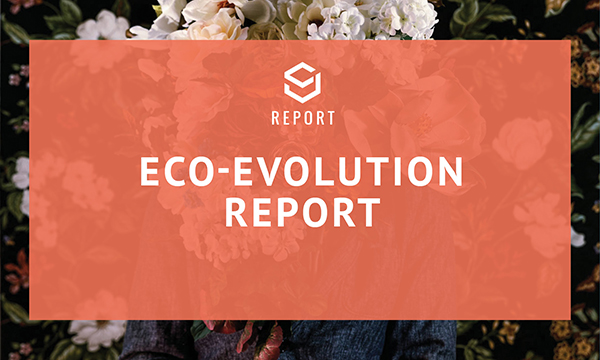Eco-Evolution Sustainability Report