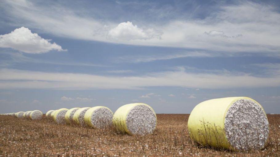 Fashion for Good led a coalition of brands and technical partners that successfully traced organic cotton from the farm to the end consumer.