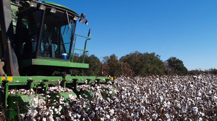 The signed U.S.-China Phase One trade deal might ease tariff tensions, but it could also mean higher cotton prices, Cotton Inc. said.