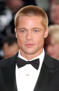 Brad Pitt, 2004