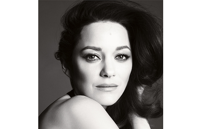 Marion Cotillard