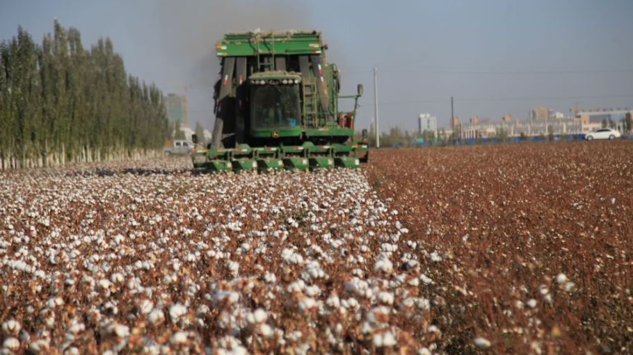 U.S. officials called for a ban on imports from a large swath of northwestern China following reports of forced labor by Turkic Muslims.