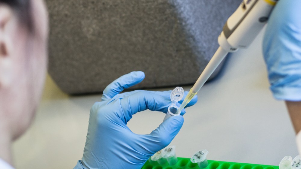 San Raffaele Urological Research Institute's laboratory.