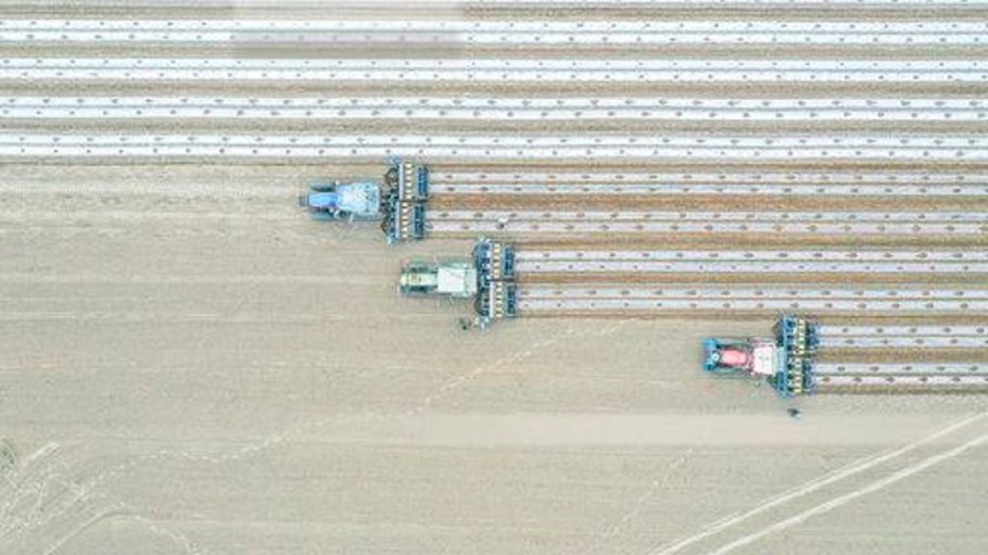 Brazil’s share of China’s cotton import market increased 170 percent in 2018-19, according to the International Cotton Advisory Committee.