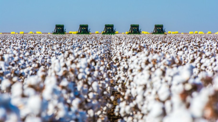 Cotton 2040 Impacts Alignment Working Group members signed an MOU for shared impact measurement and reporting of sustainability issues.