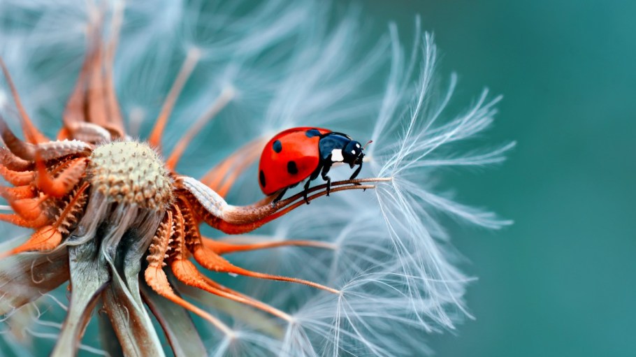 Hennes and Mauritz announced Tuesday a four-year non-earmarked financial contribution to the work of IPBES, which fosters biodiversity.