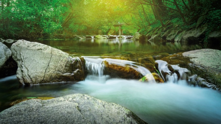 Elevate Textiles' 2025 sustainability goals are focused on sustainably sourced fibers, and reductions in water consumption and CO2.