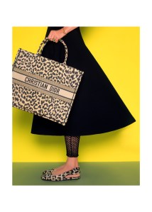 Dior Pre-Fall 2021