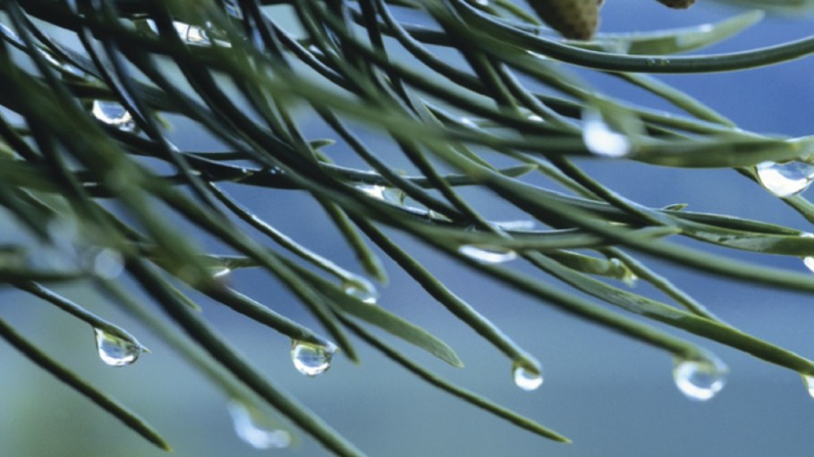 Gore Fabrics plans to leverage a new sustainability framework using science, transparency and cooperation to provide innovative solutions.
