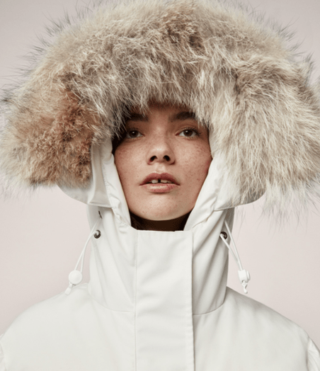 Canada goose, Sustainability, canada, outerwear, luxury