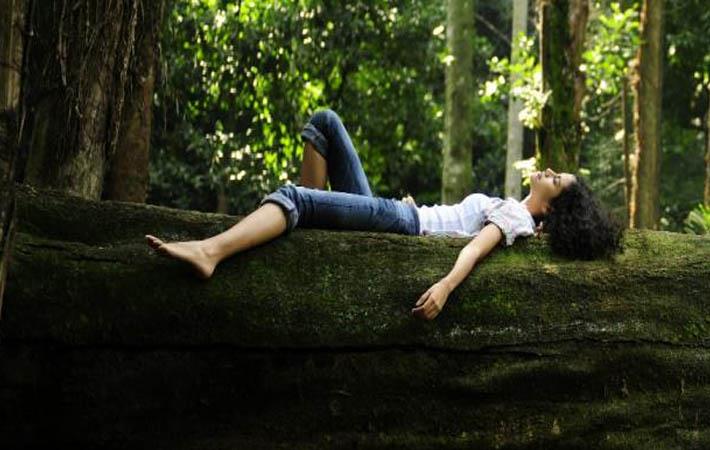 Sustainability, canopystyle, biodiversity, forests, fashion