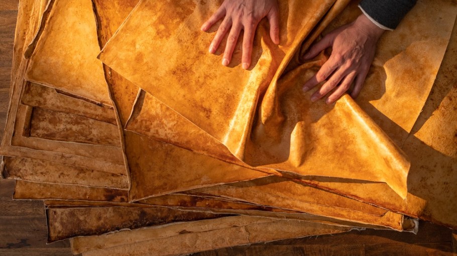 Reishi, an animal-leather alternative derived from MycoWorks's Fine Mycelium product.