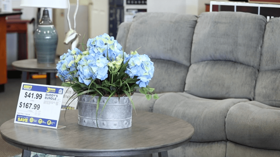 Bebe Stores is adding to its home furnishings arsenal that it acquired at the end of 2020, scooping up eight additional Buddy’s Home Furnishings "rent-to-own" franchises from Franchise Group, Inc. for an undisclosed sum.