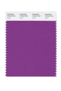 Dahlia 18-3324
