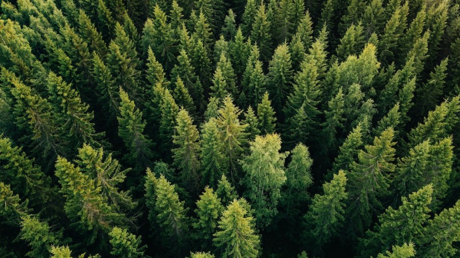 By working with FSC, TextileGenesis will be able to provide FSC certification traceability to its users.