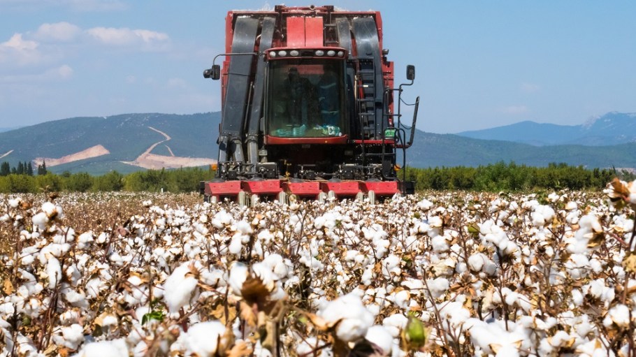 Jon Devine, senior economist at Cotton Inc., said the recent escalation of cotton prices began with the U-S.-China Phase One trade deal.