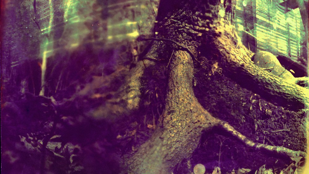 How Psychedelics Will Impact Mainstream Wellness