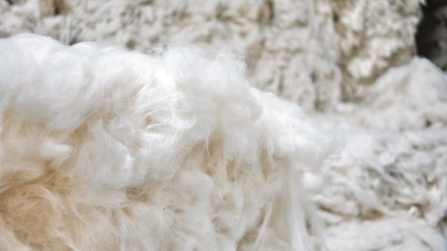 Cone Denim is advancing its sustainability commitment by focusing on incorporating regenerative cotton in its premium denim styles.