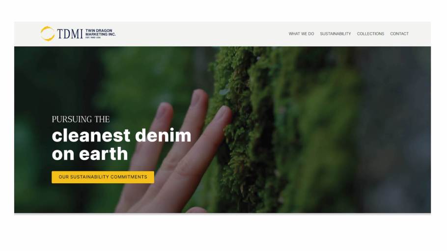 Twin Dragon Marketing, Inc. (TDMI) unveiled a new corporate identity and website.