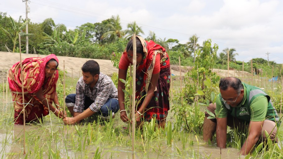 Crystal International partners with EarthDay.org to reforest Bangladesh
