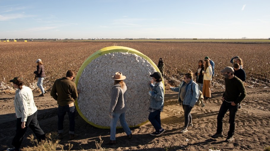 A group of businesses that sell cotton goods across industries, including apparel and home goods, have formed The California Cotton & Climate Coalition, or C4.
