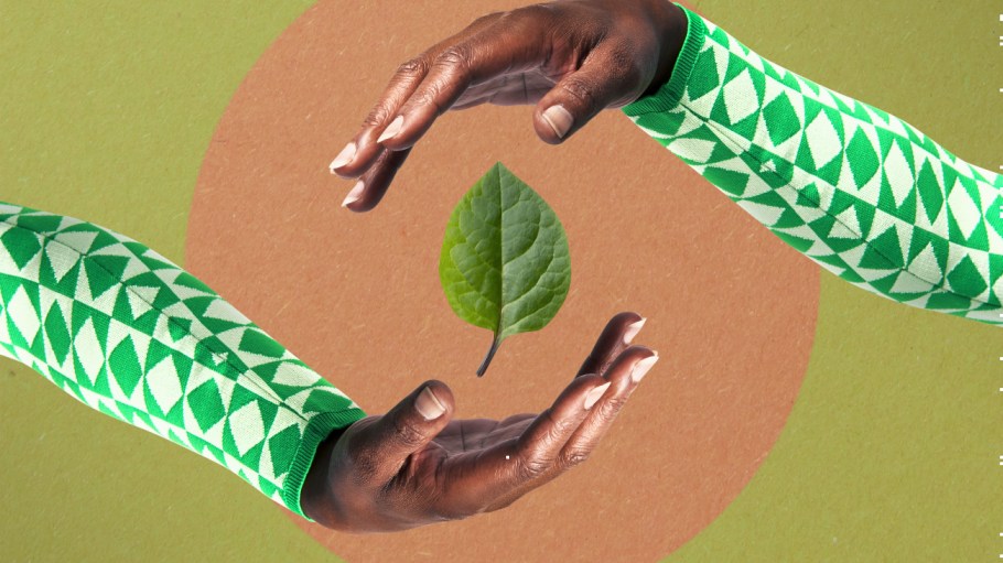 BCG Investigation Explains Sustainability Values-Action Mismatch