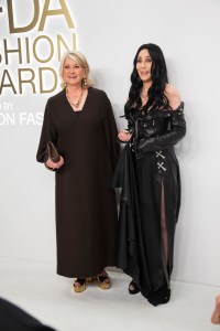 Martha Stewart and Cher