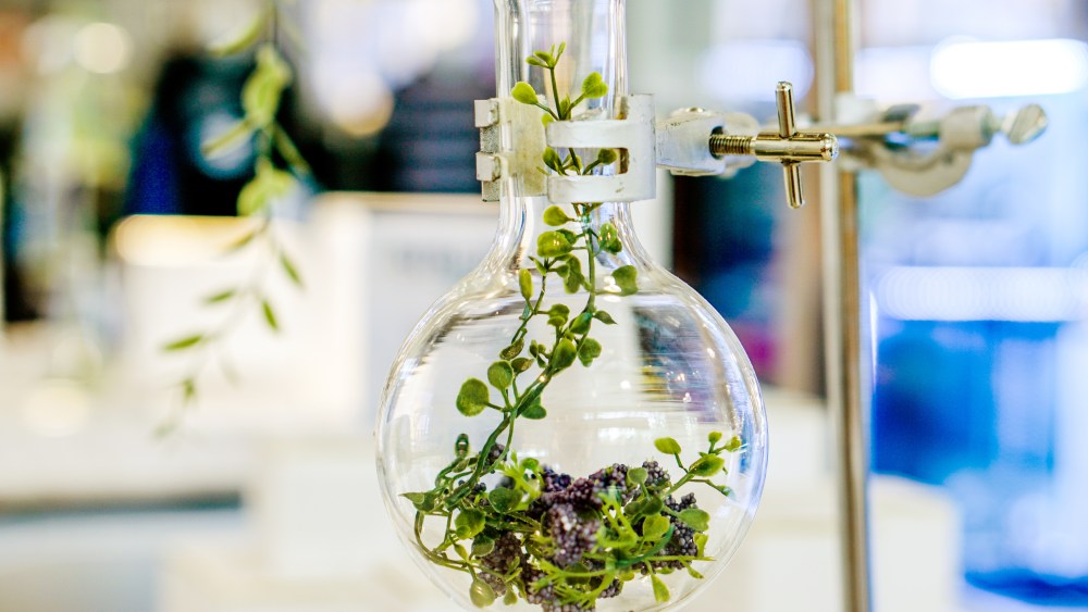 L'Oréal has been investing in biotech solutions.