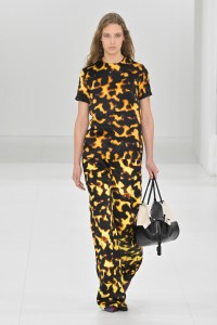 Loewe RTW Fall 2023